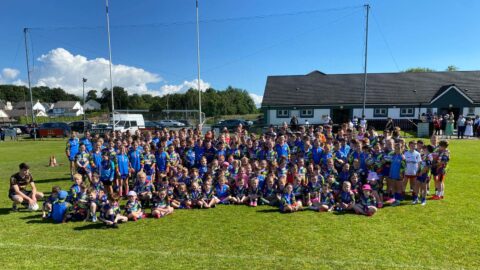 Steelstown Cúl Camp 2025